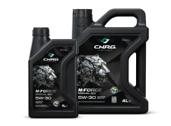 CNRG N-Force Asia. 5W-30, �������������, 1��. ����