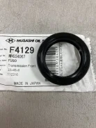 ������� F-4129 MH034067 ����