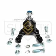 ������� ����� | ����� ����/��� | SG1981 SG1981 ����