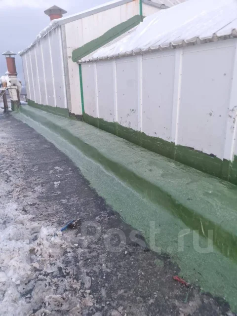 ������� ����� ����