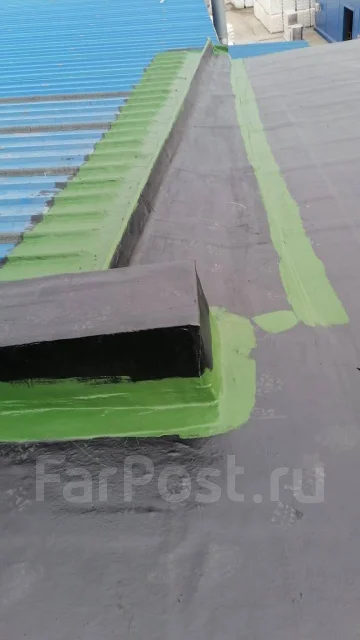 ������� ����� ����