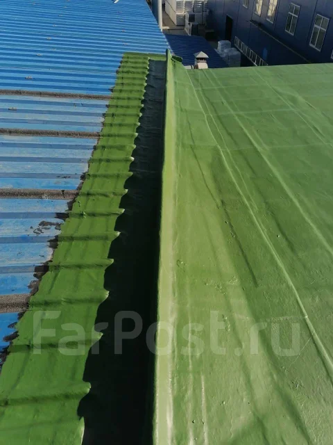 ������� ����� ����