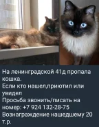 �����. ����