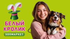 ��������. �� ��������� �.�. ����� ���������� 2 ����