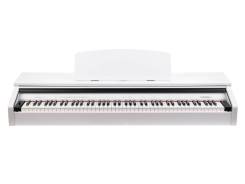  ,  , Medeli DP250RB-GW 