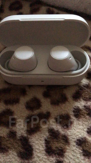 Sony WF-C500 ����