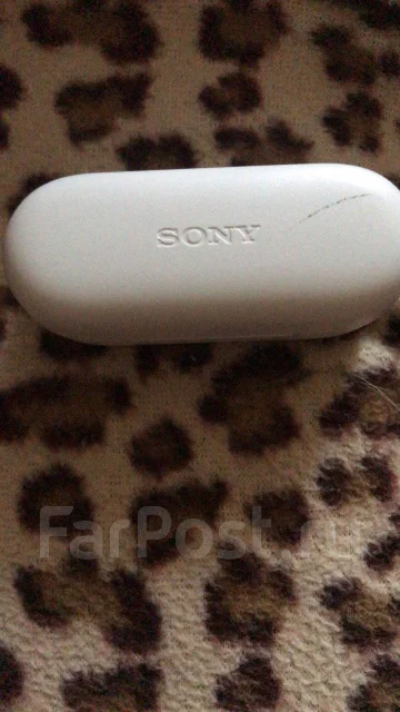 Sony WF-C500 ����