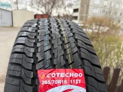 Cotechoo Wildtrac RTX8. ������, ����� ����