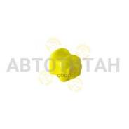   |  | 4881842020 
