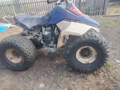 Suzuki Quadsport 80. ��������, ��� ���\���, �� ����
