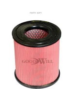 ������ ��������� Goodwill AG1013 AG1013 ����
