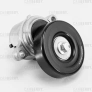 ���������� ��������. ����� � ������� Carberry 55CA218 55CA218 ����