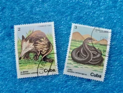 ����� ���� - Cuba ���� 1984 �� ����� 2 ��. ����