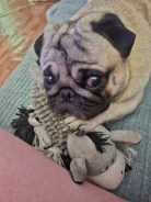 ����. ����