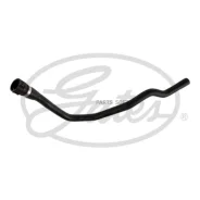 ��������� �������� Gates 021616 021616 ����