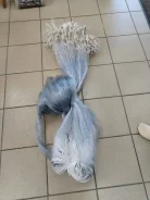 �����. ����
