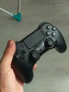 ��������. ����