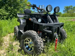 Grizzly 300. ��������, ��� ���\���, ��� �������. ��� ����� �� ������������ ����