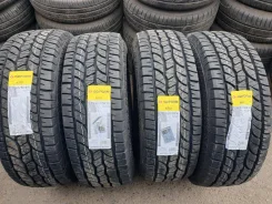 Goform WildTrac A/T01. ������, 2025 ���, ����� ����
