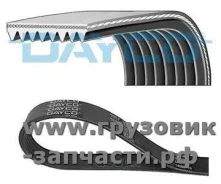 ������ ���������� D13 8PK1555 Volvo FM (4), Renault K, C-series Dayco 8PK1555HD 8PK1555HD ����