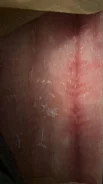 ����. ����