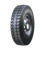 ���� Forza REG T
