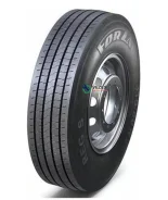 ���� Forza REG S