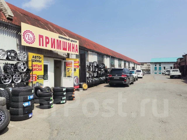 Goform GT02. ������, 2026 ���, ����� ����