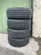 Tigar. ������, 2020 ���, �/�, ����� 50 % ����