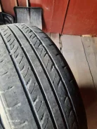 Sprut. ������, �/�, ����� 50 % ����