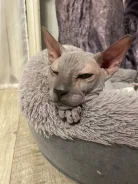 ������. ����