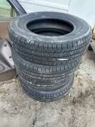 Farroad. �����������, 2024 ���, ����� ����