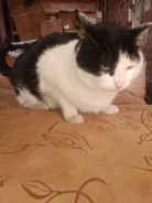 �����. ����