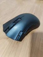 ���� �������. ����