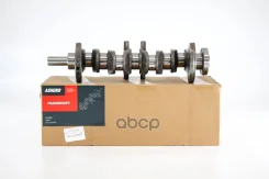 �������� 2.0 G4KA Ashuno ���. A13100 A13100 ����