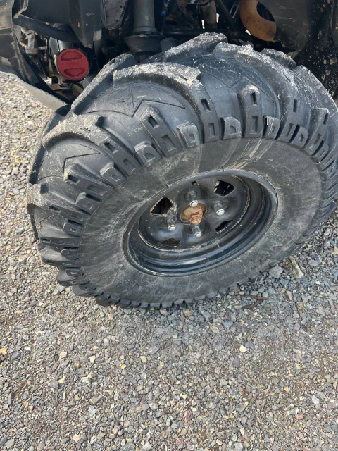 Yamaha Grizzly 700. ��������, ��, �� ����