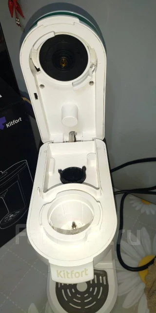 ���������. ����