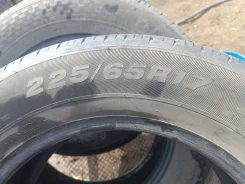 Viatti Bosco H/T. ������, 2021 ���, �/�, ����� 35 % ����