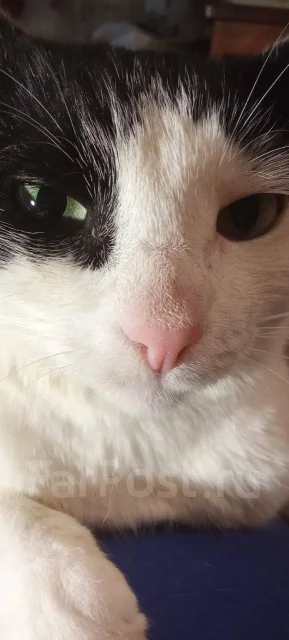 �����. ����