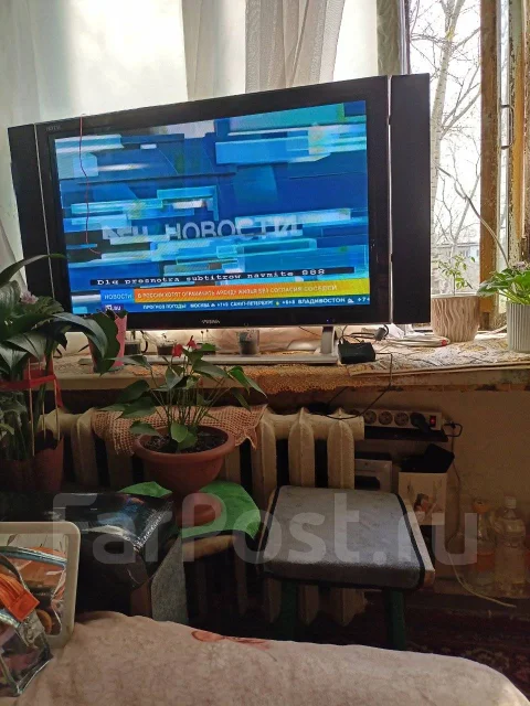 Prima. LCD (��) ����