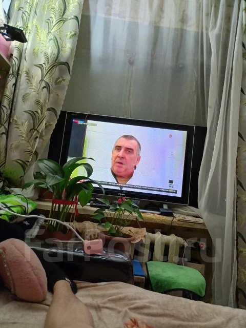 Prima. LCD (��) ����