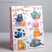     , S 12 x 15 x 5,5  