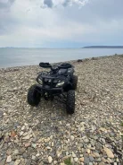 Grizzly 200. ��������, ��� ���\���, �� ����