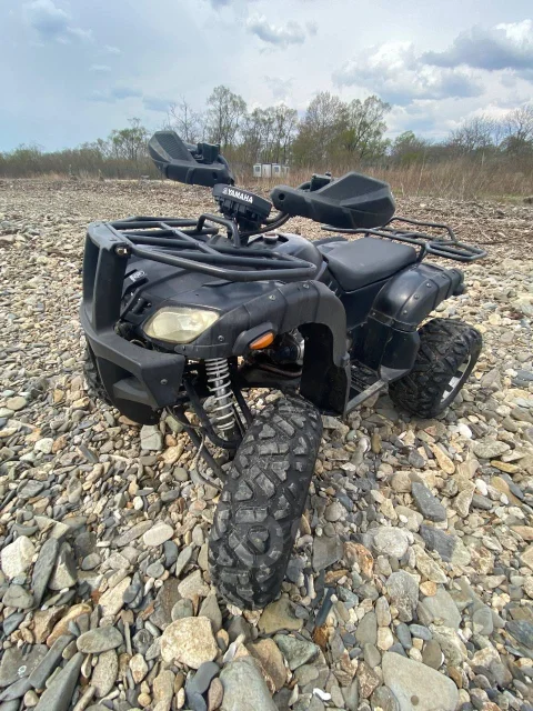 Grizzly 200. ��������, ��� ���\���, �� ����