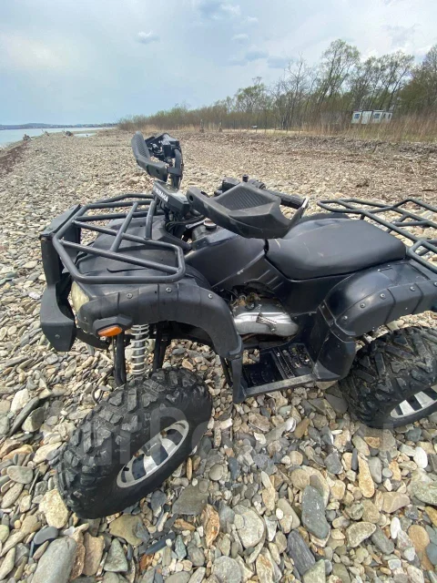 Grizzly 200. ��������, ��� ���\���, �� ����