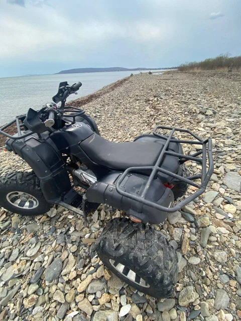 Grizzly 200. ��������, ��� ���\���, �� ����