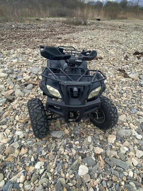 Grizzly 200. ��������, ��� ���\���, �� ����