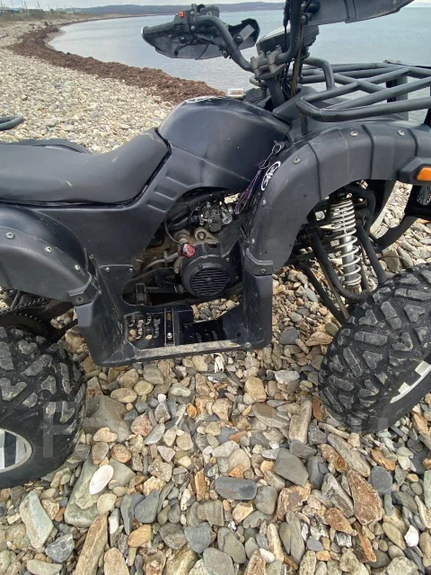 Grizzly 200. ��������, ��� ���\���, �� ����