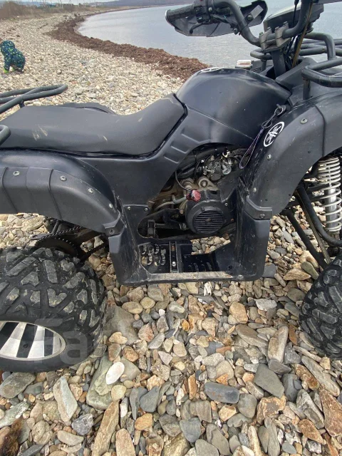 Grizzly 200. ��������, ��� ���\���, �� ����