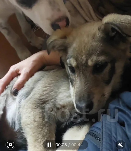 ������. ����